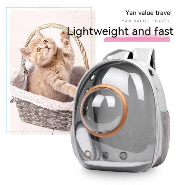 Outdoor Transparent Pet Backpack Carrier