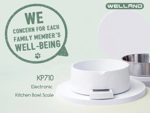 Removable LCD Kitchen Scale with Stainless Steel Bowl