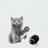 Automatic Running Cat Teaser Toy