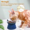 Ceramic Raised Pet Bowl Durable Eco-Friendly