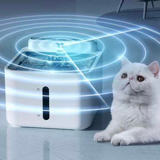 3L Stainless Steel Pet Fountain