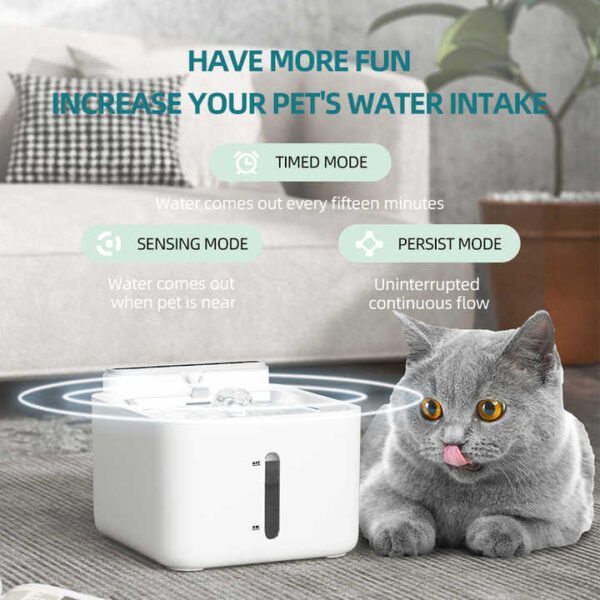 3L Stainless Steel Pet Fountain