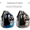 Outdoor Transparent Pet Backpack Carrier